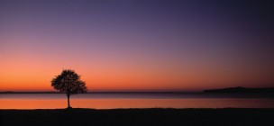 Lac de Lacanau, Landes